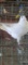 Utility King Male Pigeon