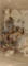20 Ameraucana Chicks