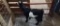 White & Black Pygmy Billy - 1 Yr Old