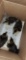 4 Muscovy Ducklings - 2 Wks Old
