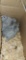 3 Lavender Orpington Chicks