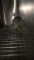 1 Feeder Mouse - Need Container