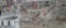 Pair Snowflake Bobwhite Quail W/ Permit