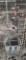 2 Snowflake Bobwhite Quail W/ Permit
