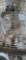 2 Snowflake Bobwhite Quail W/ Permit