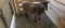 Katahdin Cross Ewe