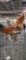 Pair Mille Fleur D'uccle Bantams