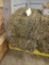 2 Bales 3rd Alfalfa