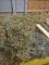 2 Mini Bales Grass Hay