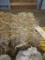 2 Mini Bales Straw
