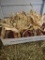 1 Box Of Indian Corn