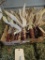 1 Box Of Indian Corn