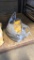 1 Bag Of Corn