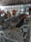 Young Pair Barred Rock Bantams