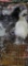 2 Silkies - 1 Blue & 1 White