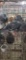 3 Homing Pigeons - 2021 Hatch