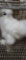 White Silkie Rooster