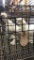 3 Young Paint Silkies