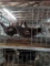 3 Silver Laced Wyandotte Hens - 1 Yr Old