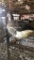 Unsexed Toulouse Goose