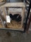 Pair Black Old English Bantams - 1 Yr Old
