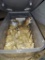 3 Spiny Mice - 1 Male & 2 Females - In Container