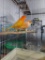 Pair Red Factor Canaries