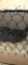 2 Young Silver Pheasant - 2021 Hatch