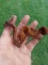 Pair Cat Eye Cave Gecko