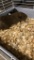 2 Female Guinea Pigs - In Box