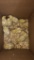 9 Texas A&m Quail Chicks - 1 Wk Old