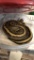 Female Genetic Stripe Python - 1 1/2 Yrs Old