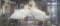 2 Pekin Ducks