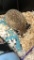 Female Hedgehog - Friendly - 3 Yrs Old - See Desc.
