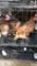 4 Rhode Island Red Hens