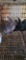 4 Rex X California Bunnies
