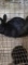 Lionhead Doe - Exposed 1 Wk Ago