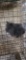 Lionhead Buck