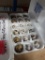 1.5 Doz Fertile Coturnix Quail Eggs