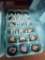 1.5 Doz Fertile Coturnix Quail Eggs