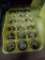 1.5 Doz Fertile Coturnix Quail Eggs