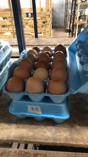 3 Doz Mixed Eating Eggs