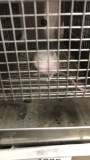 1 Feeder Mouse - Need Container