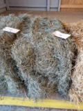 2 Bales 2nd Orchard Grass