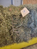 2 Mini Bales 3rd Alfalfa