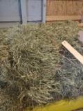 2 Mini Bales Grass Hay