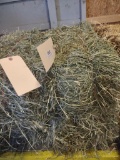2 Mini Bales Grass Hay