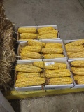 3 Boxes Of Corn