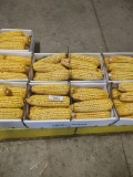 2 Boxes Of Corn