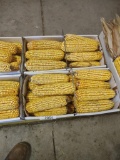2 Boxes Of Corn